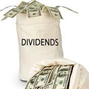 Dividend Seeker 