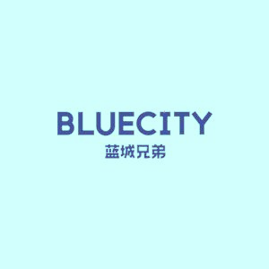 BlueCity Holdings logo