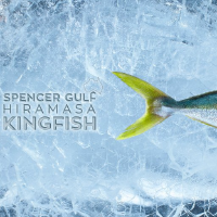 Clean Seas Seafood Limited logo