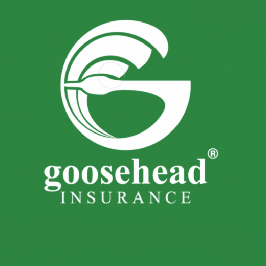 GooseHead Insurance logo