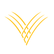 GVYB logo