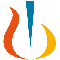 NVSEF logo