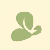Orchid Island Capital logo