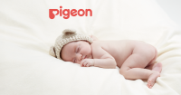Pigeon logo