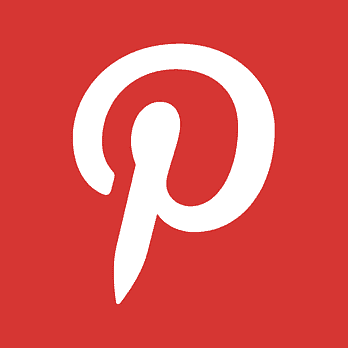 PINS logo