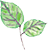 PLTXF logo