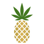PNPL logo