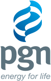 PPAAY logo