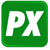 P10 Holdings logo