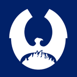 Raven Property Group Limited logo