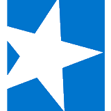 STWD logo