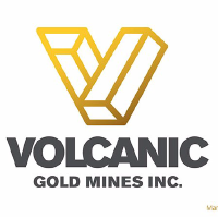 VLMZF logo