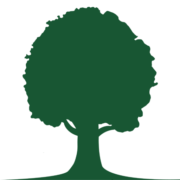 WDFN logo
