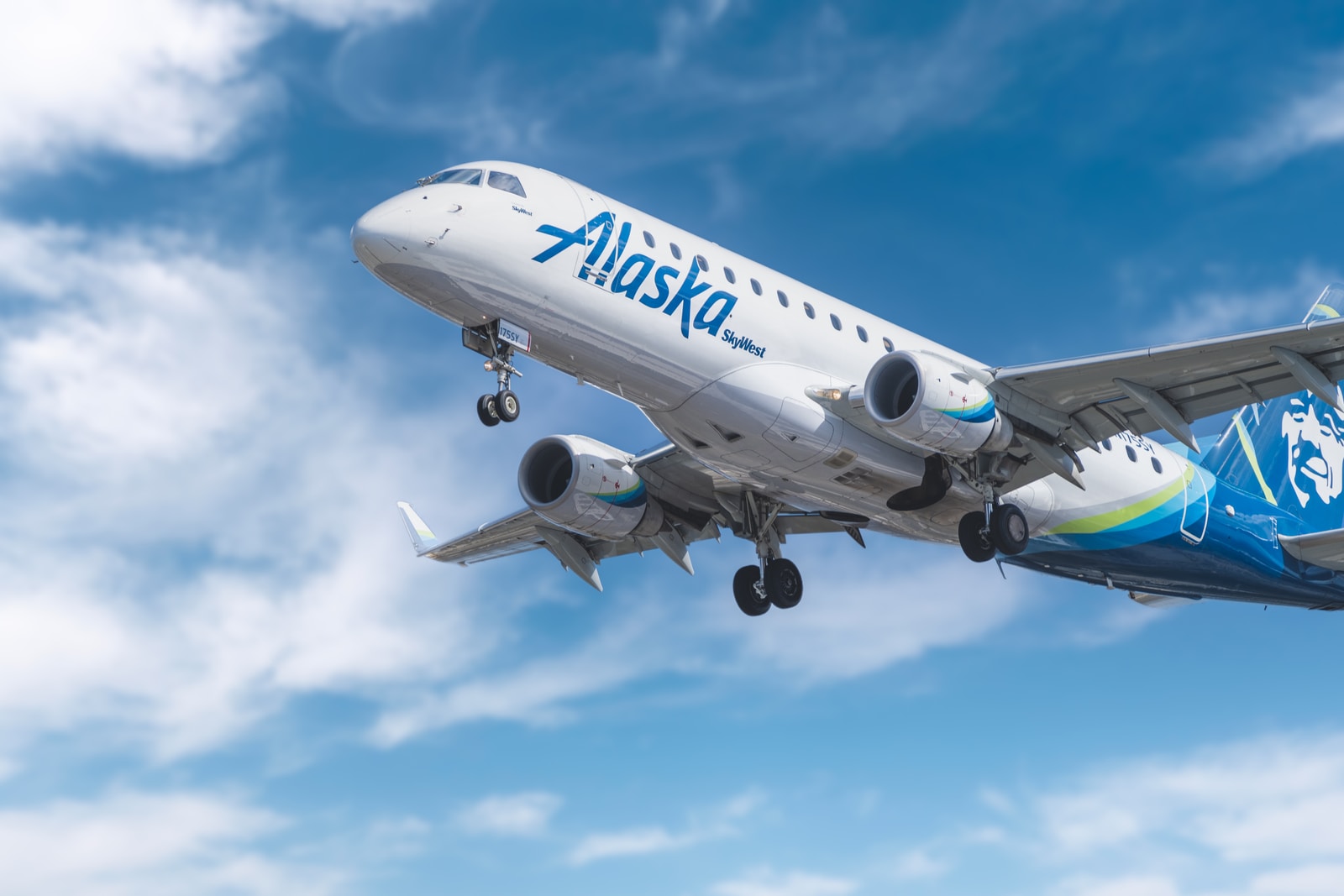 Alaska airlines flight picture
